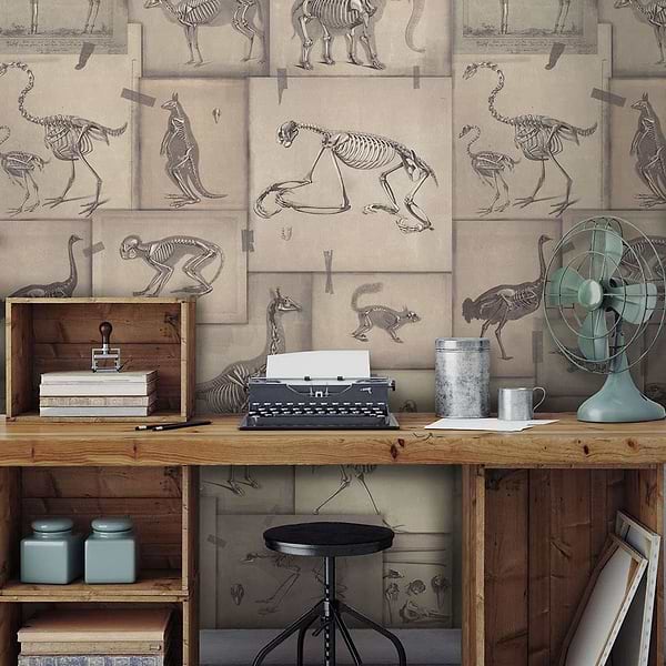 Zoo Archaeology-wallpaper-Mind the Gap-Selected Wallpapers