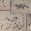 Zoo Archaeology-wallpaper-Mind the Gap-Bruin/Grijs-300 cm (standaard)-WP20236-Selected Wallpapers