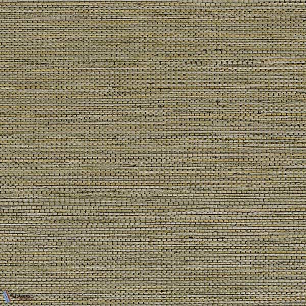 Zostera-Wallpaper-Casamance-Kaki-Roll-75972242-Selected Wallpapers