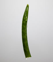 Aloe vera juice