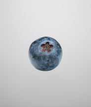 Blueberry seed oil