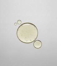 Polysaccharides fermentés