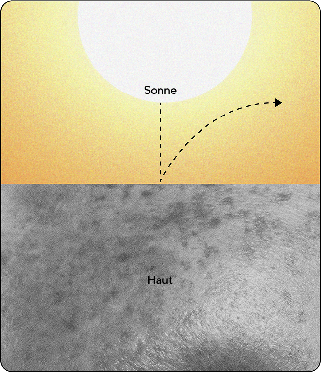 Infografik zu physikalischen Sonnenschutzmitteln Sonnenlicht trifft auf die Haut und wird von der Hautoberfläche reflektiert, anstatt in sie einzudringen