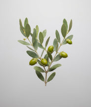 Olio di Jojoba