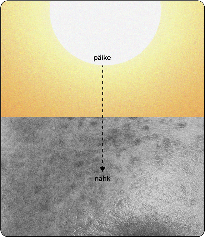 Keemilise päikesekaitsekreemi infograafik, mis näitab päikesevalguse liikumist allapoole ja imendumist nahas, mitte peegeldumist