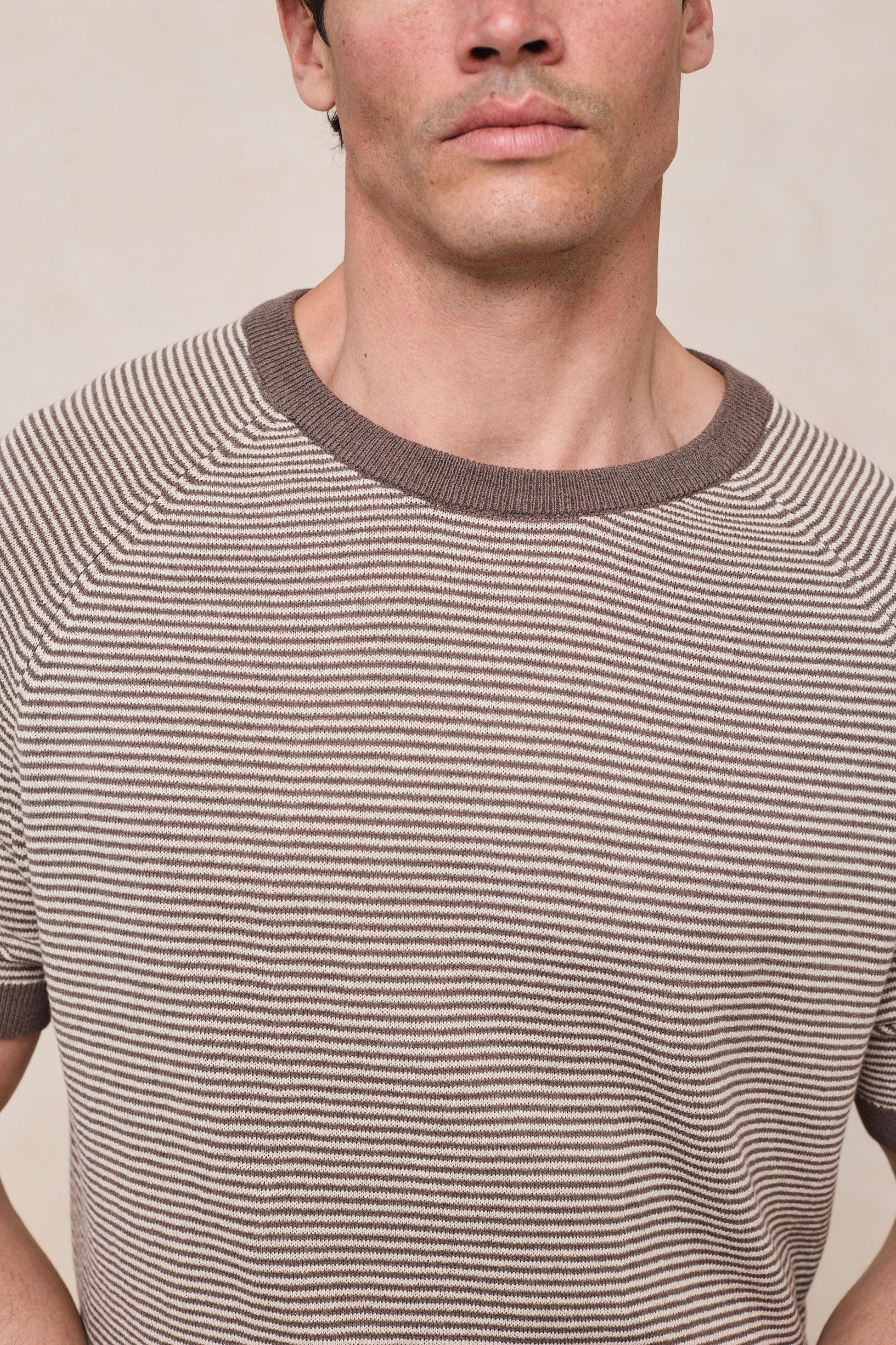 Rafael Linen Striped Crew Neck T-Shirt - Brown/Beige