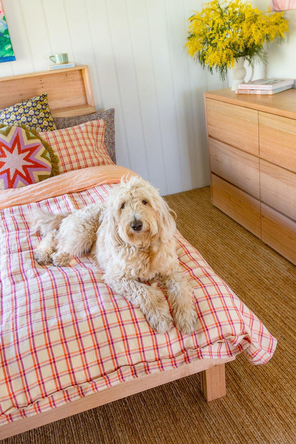 pet-friendly rugs