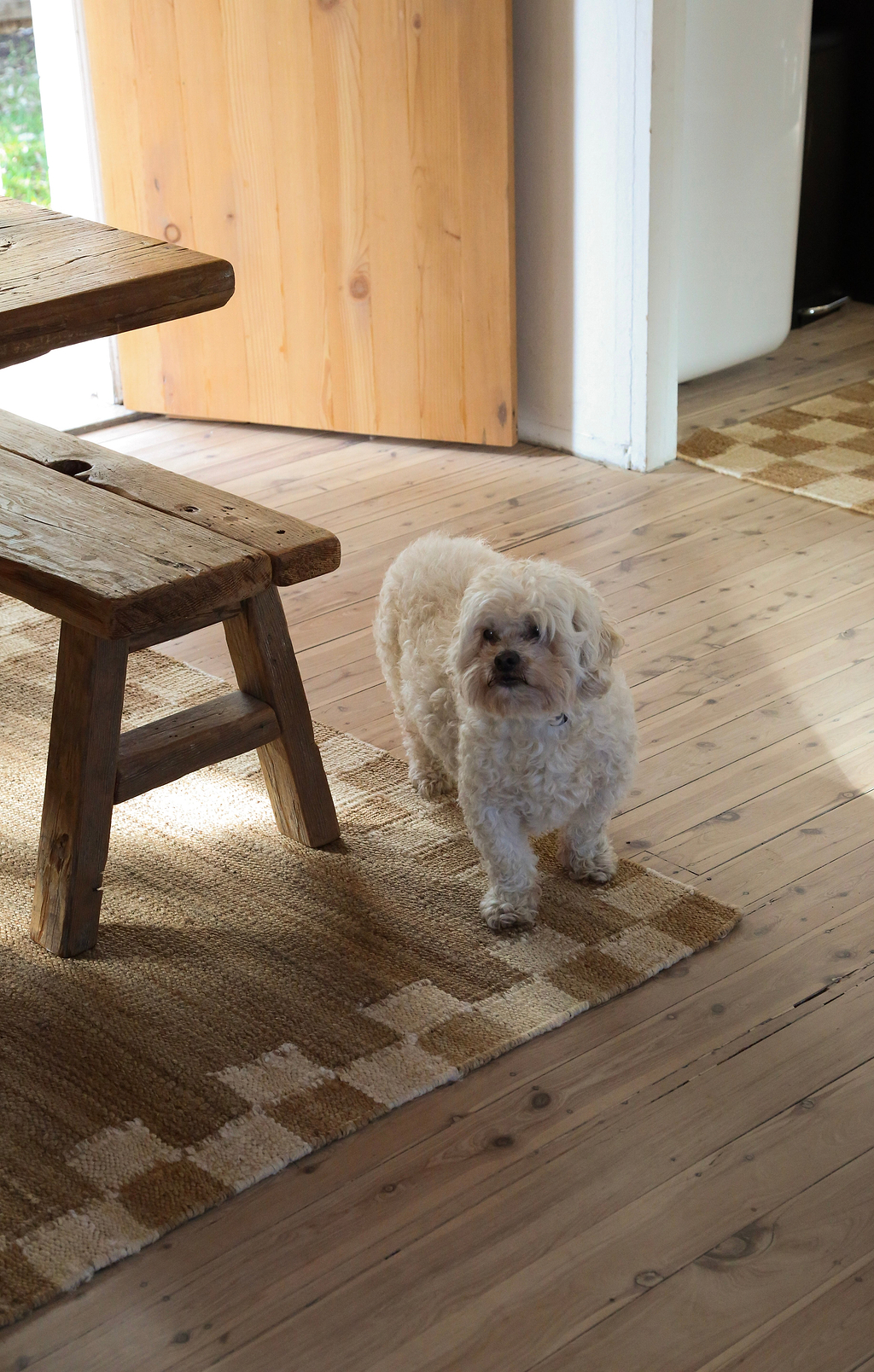 Sample of Fitzroy Checker Border Rug in Cream
