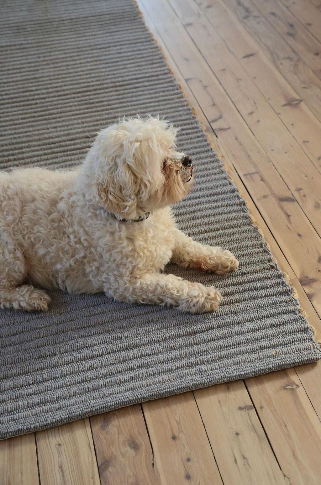 Mendocino Wool & Jute Rug in Dusty Blue