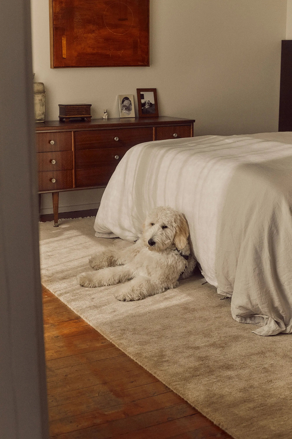 Bhakti Abrash Wool Blend Rug in Honey
