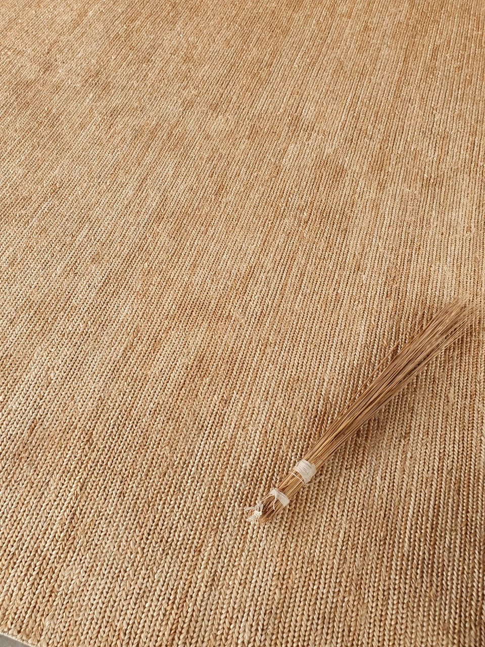 Sample of Dharma Braided Jute Rug in Natural