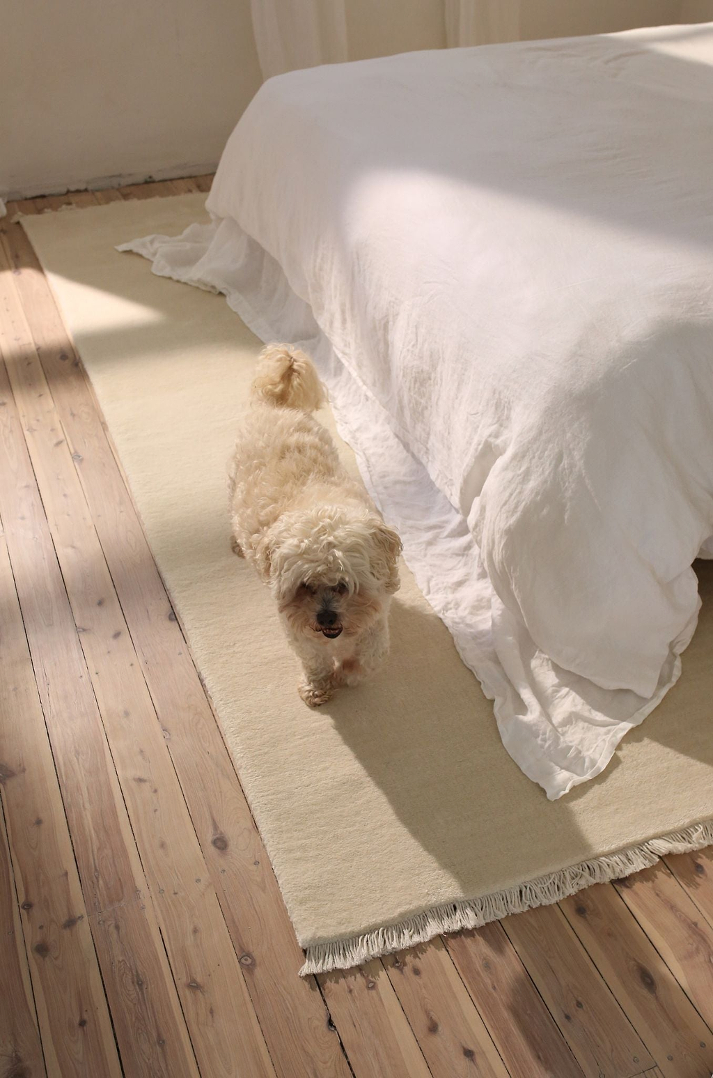 Bhakti Abrash Wool Blend Rug in Ivory