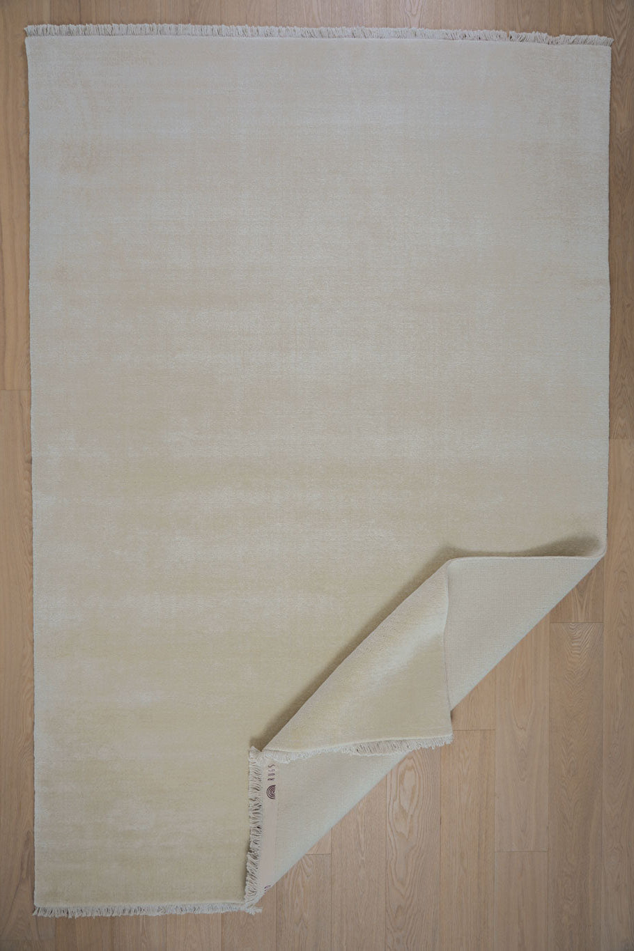 Bhakti Abrash Wool Blend Rug in Ivory