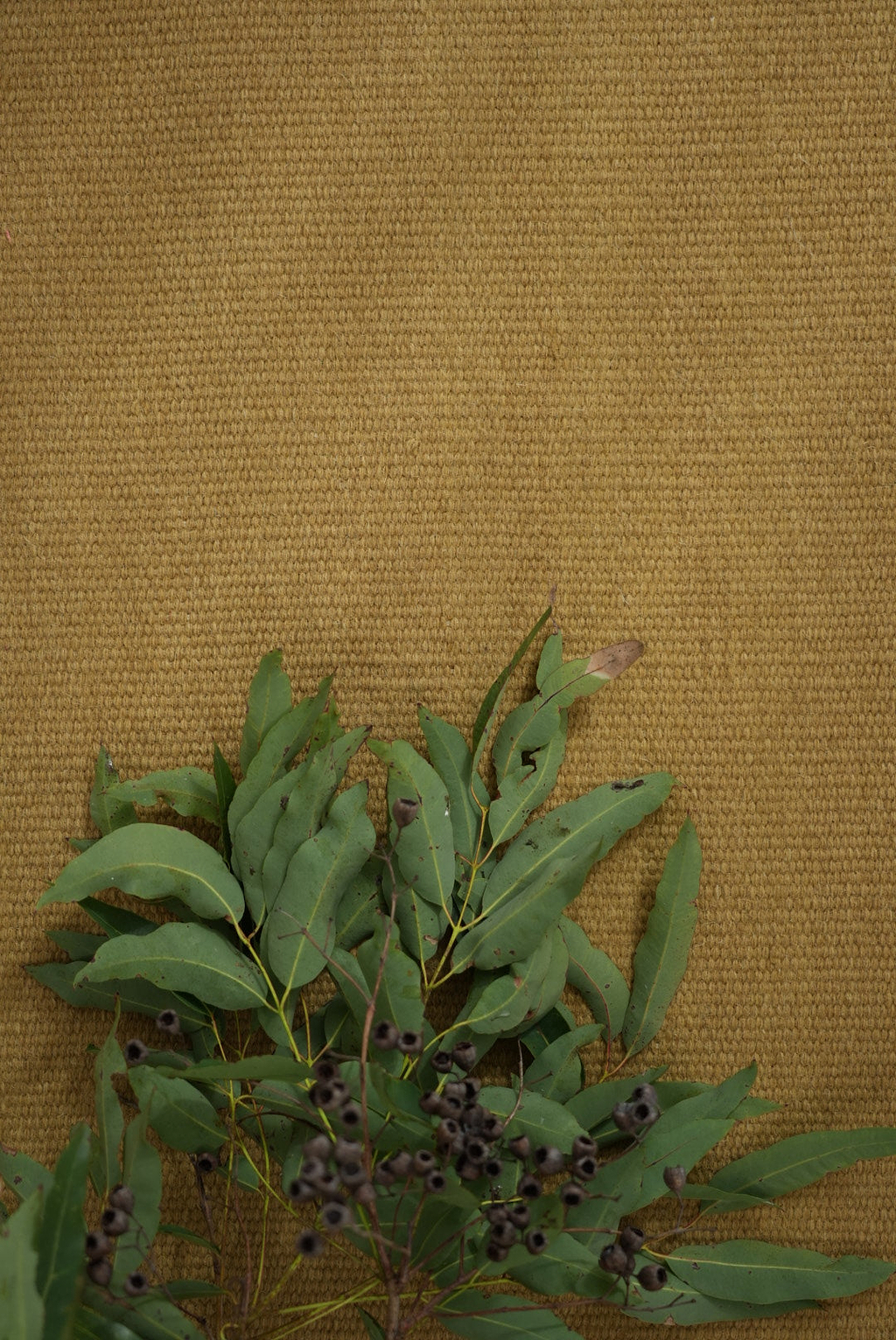 Terrain Flatweave Wool Runner Rug in Gumnut