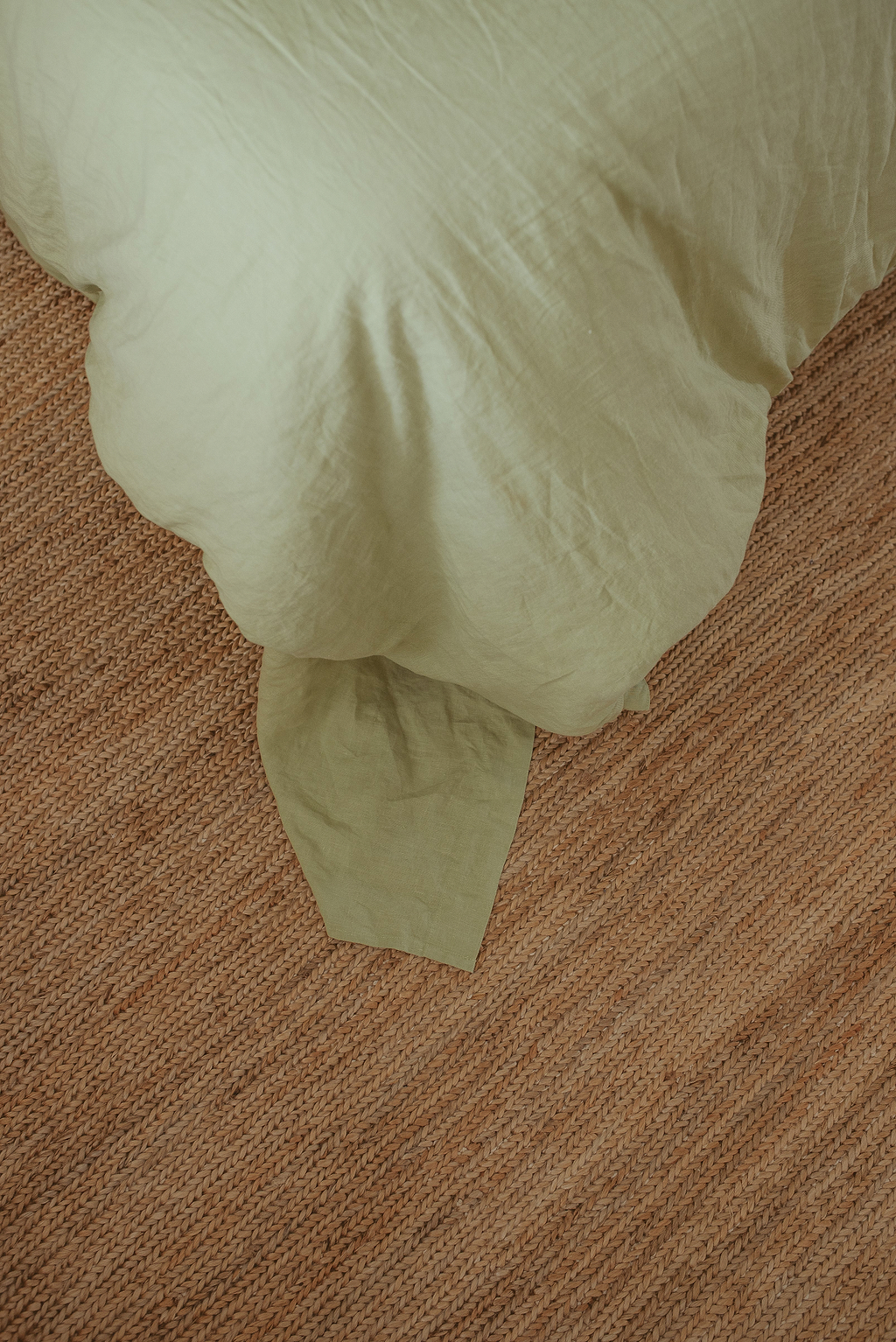 Dharma Braided Jute Rug in Natural