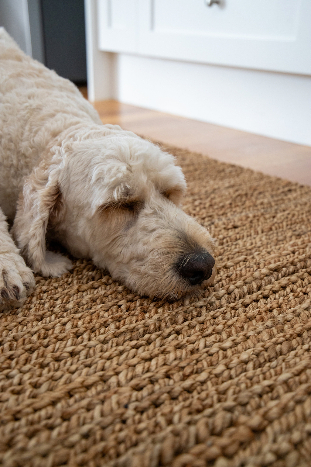 Avoca Jute Runner Rug in Natural