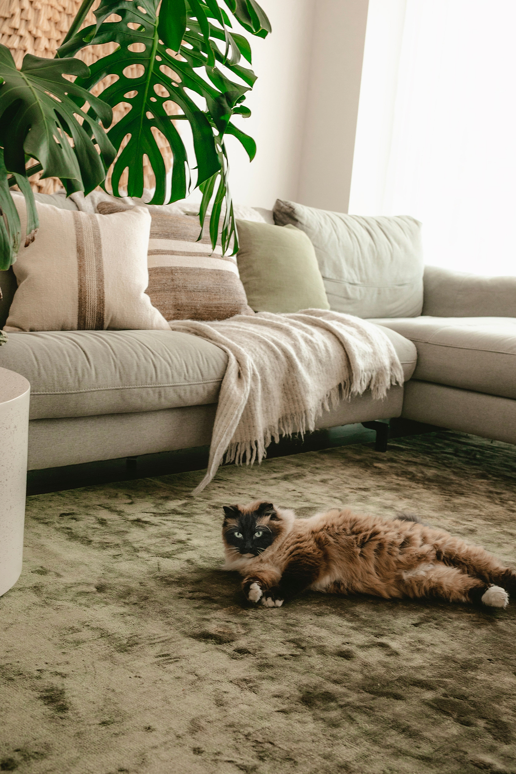 Lustre Rug in Moss