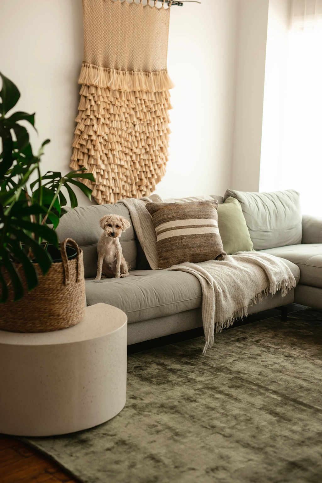 Lustre Rug in Moss