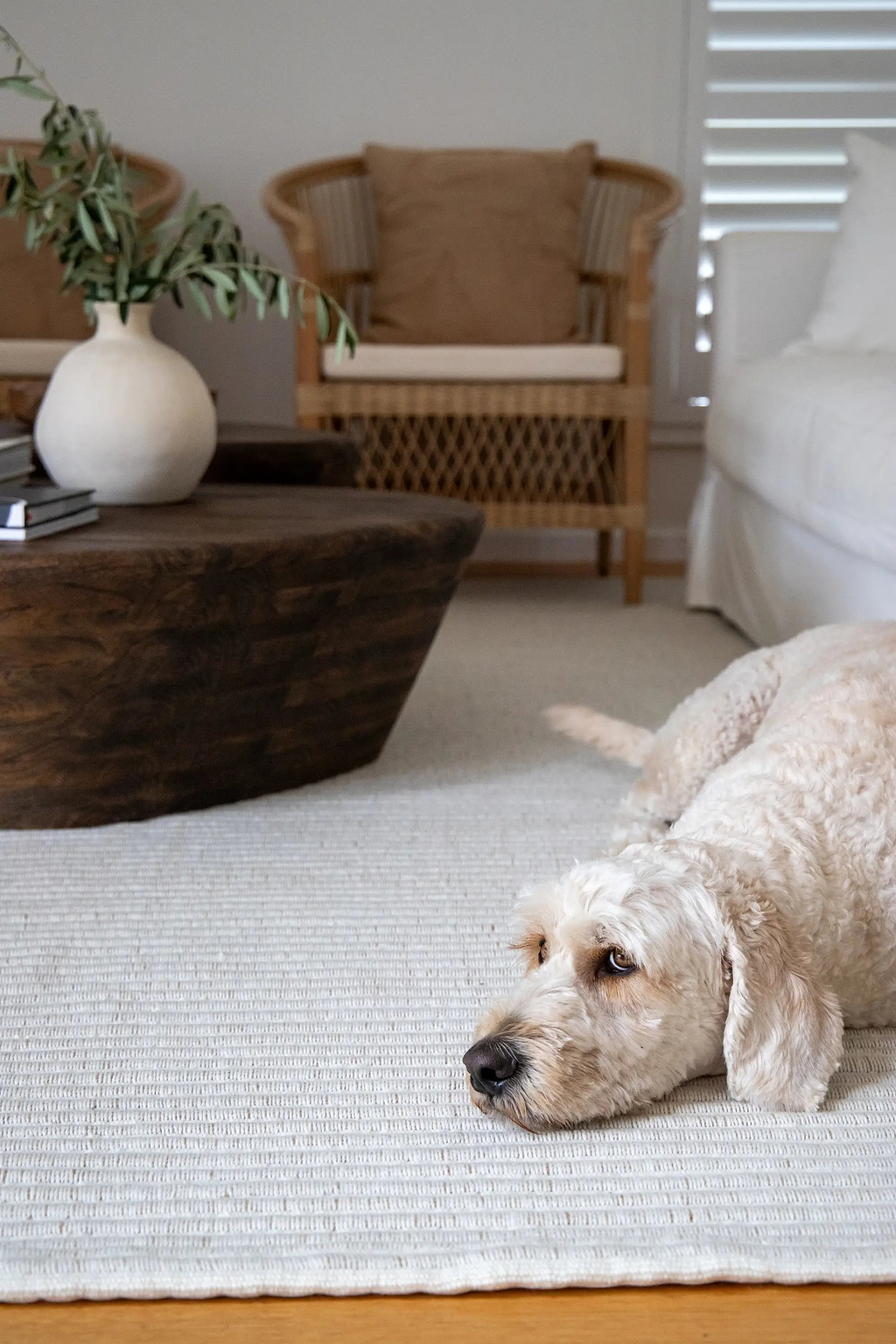 Mendocino Wool & Jute Rug in Ivory
