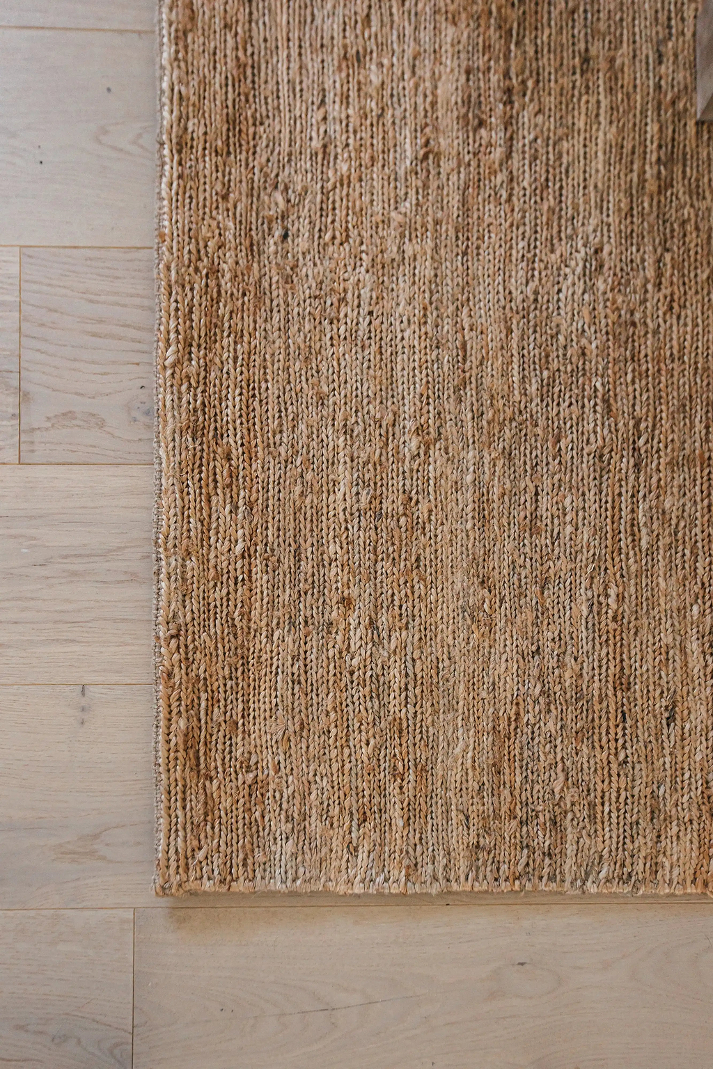 Sample of Lavanya Jute Rug in Natural