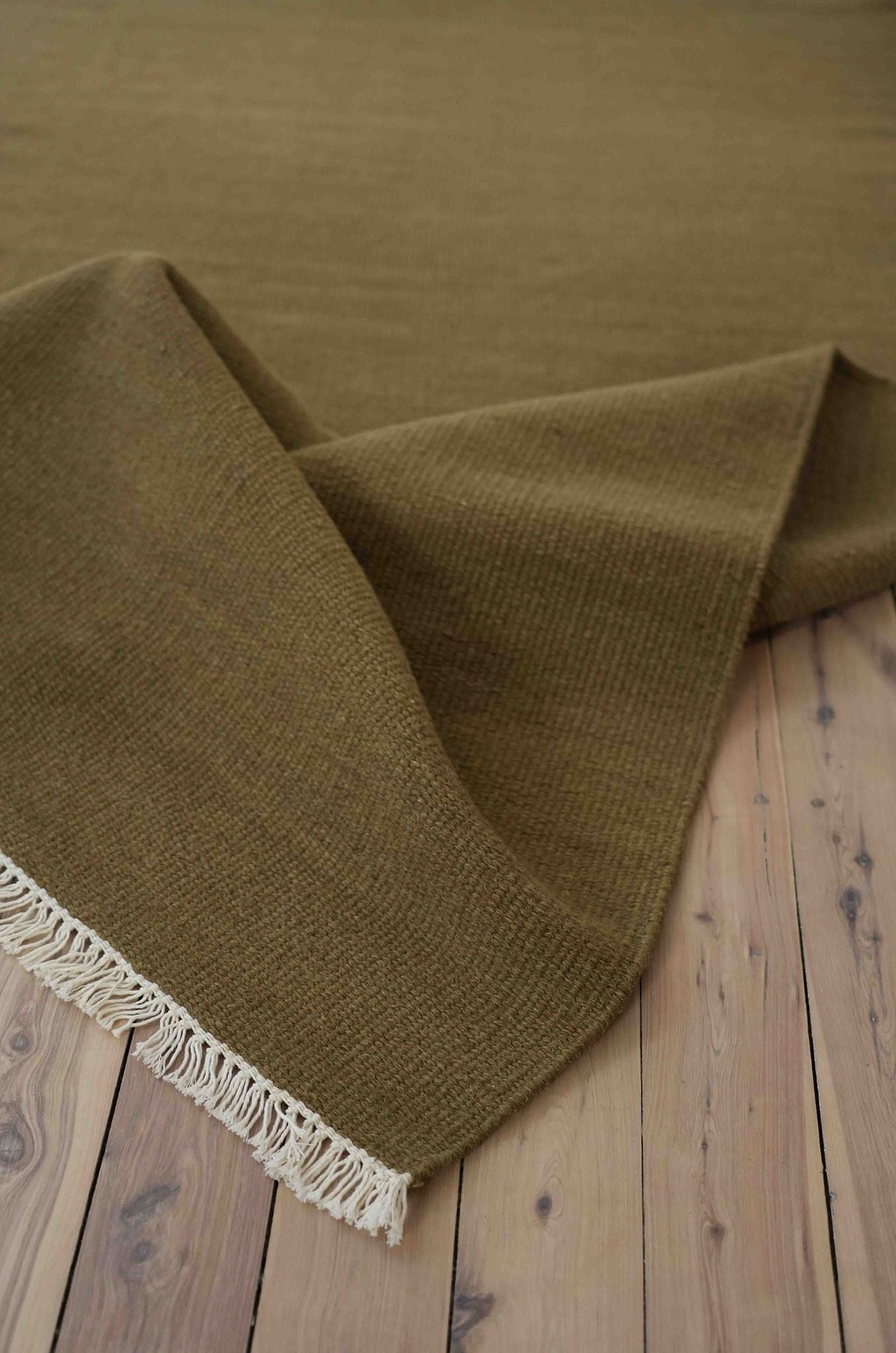 Terrain Reversible Wool Rug in Moss