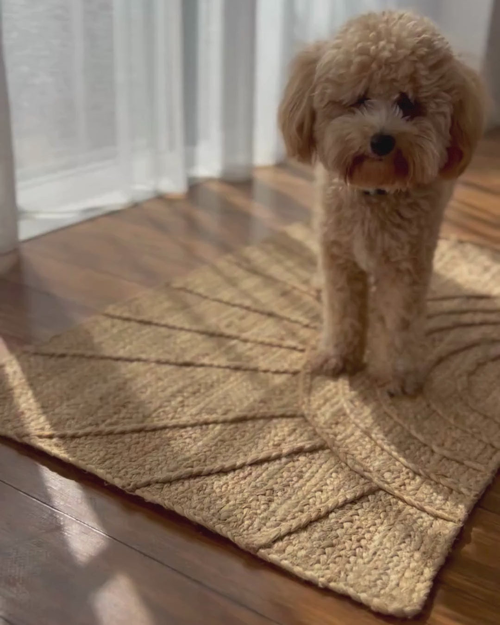Sol Natural Jute Doormat