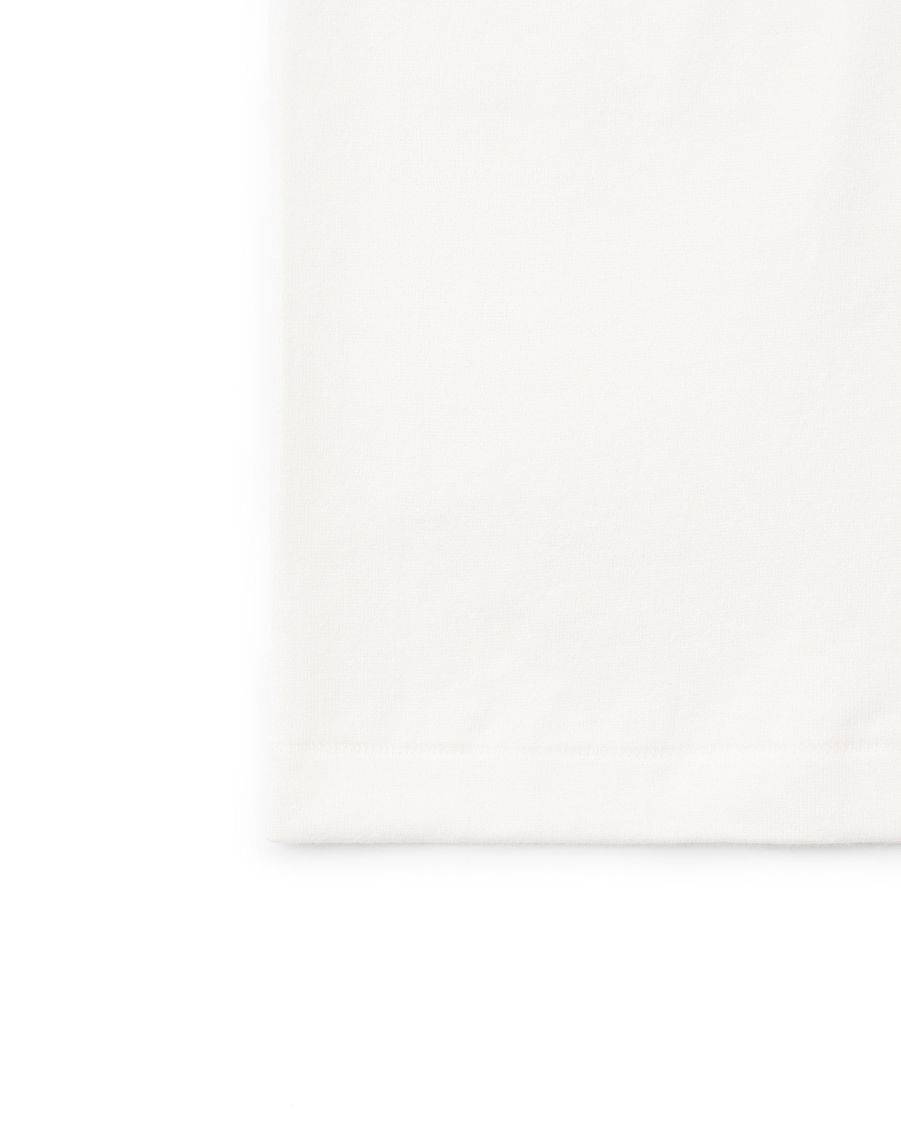 Hanes T-SHIRTS SHIRO／クルーネックロングスリーブTシャツ