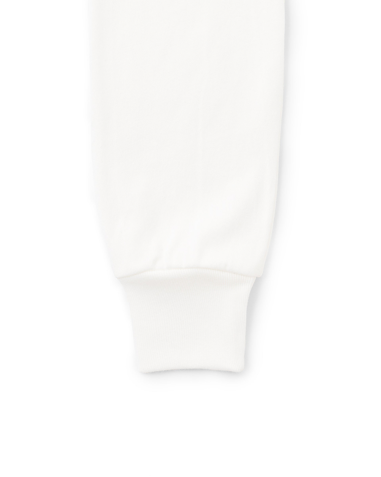 Hanes T-SHIRTS SHIRO／クルーネックロングスリーブTシャツ