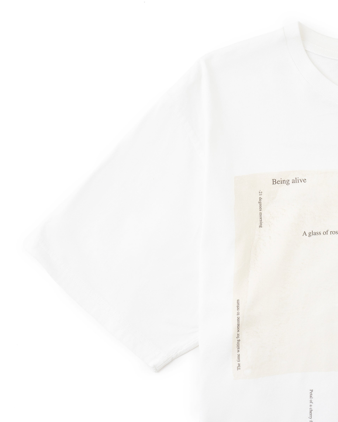 【26SS】ザ・Tシャツ