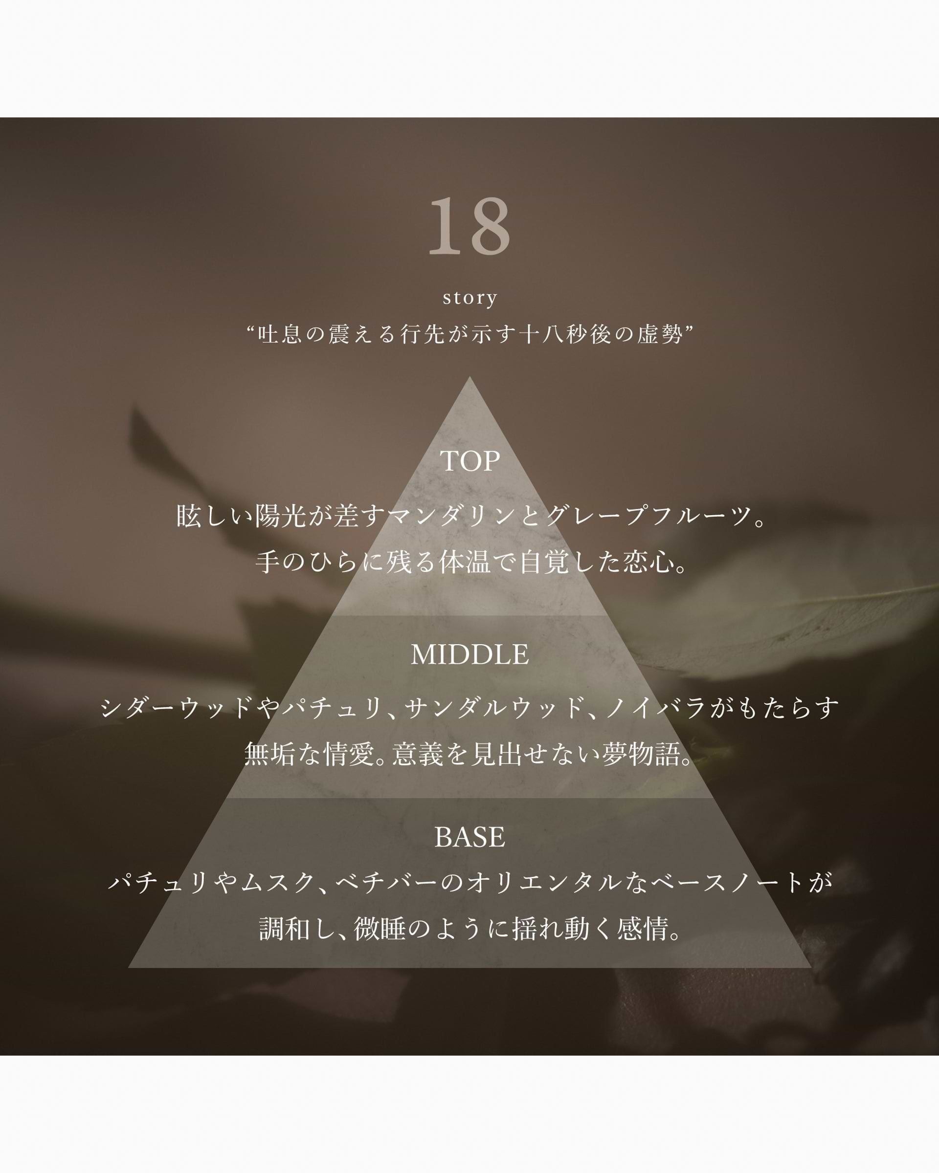 OSAJI】オードパルファムローズNo.18サンダルローズ（50mL） | 香水