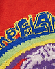 THE aロックニットザフレーミングリップス（レッド）