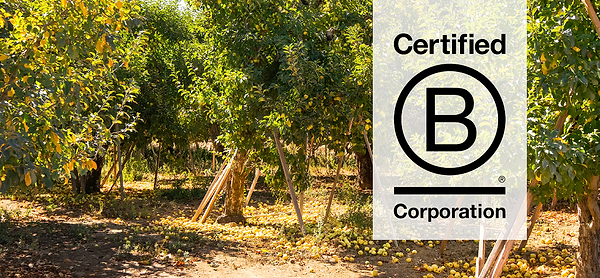 B Corp Certification