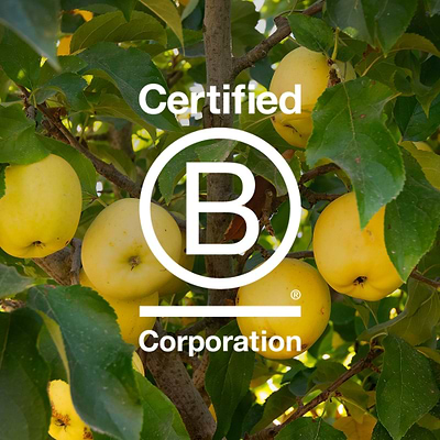 What B Corp Certification Means at Bragg®