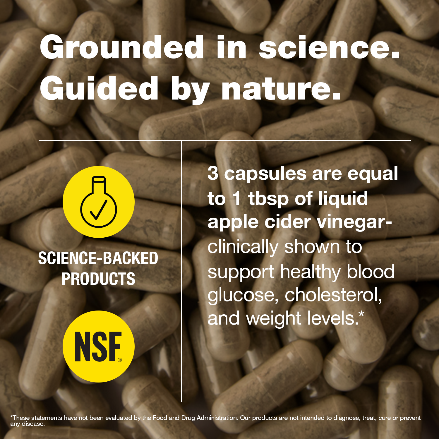 Balance ACV Supplement