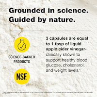 Energy ACV Supplement