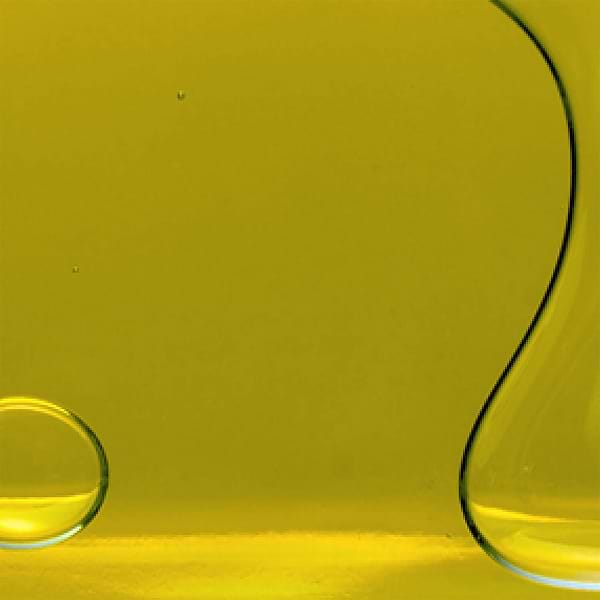 Organic Olive Oil