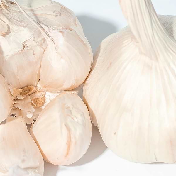 Organic Garlic