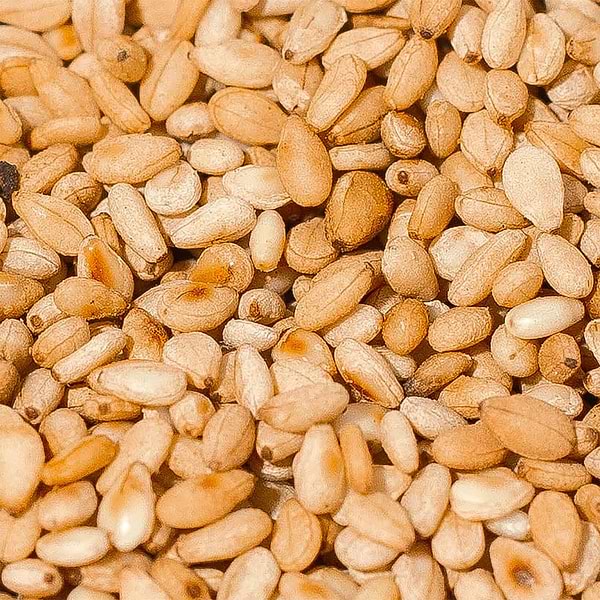 Organic Sesame Seed