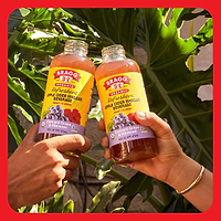 Apple Cider Vinegar Refresher, Concord Hibiscus, 2 Pack