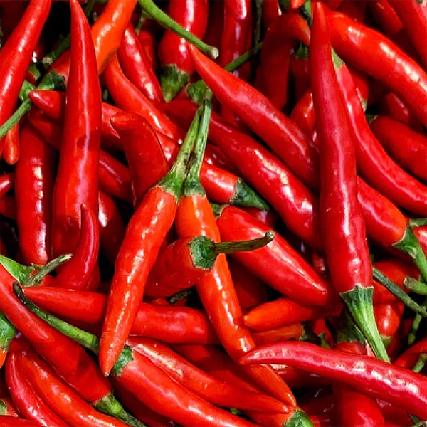 Organic Cayenne Pepper