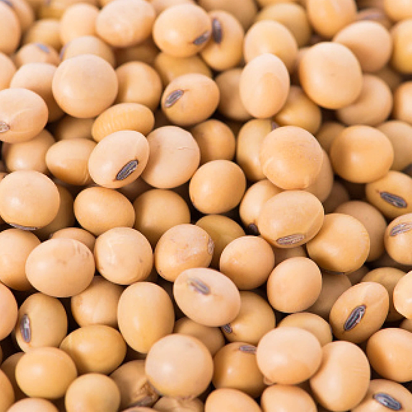 Soybeans