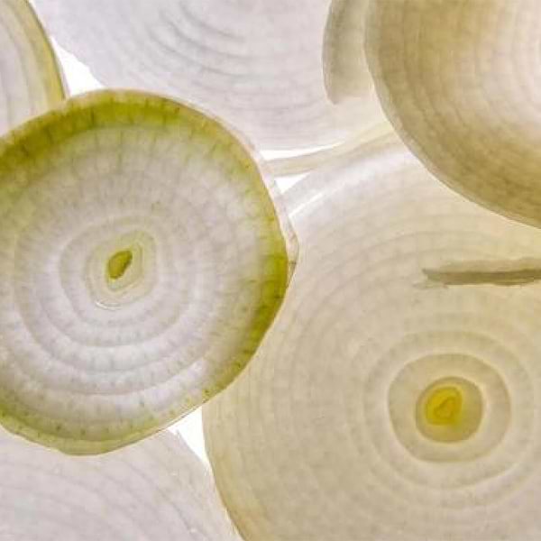 Organic Onion