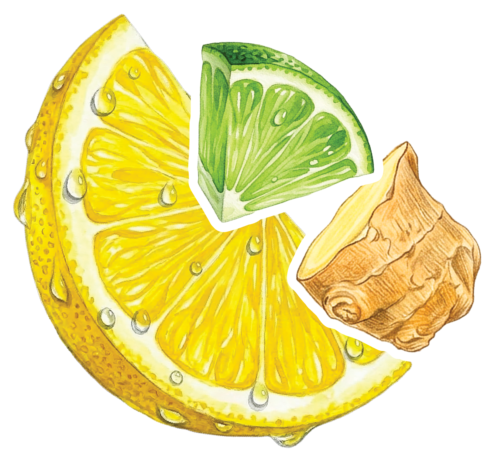 Citrus Ginger Tropical Zing