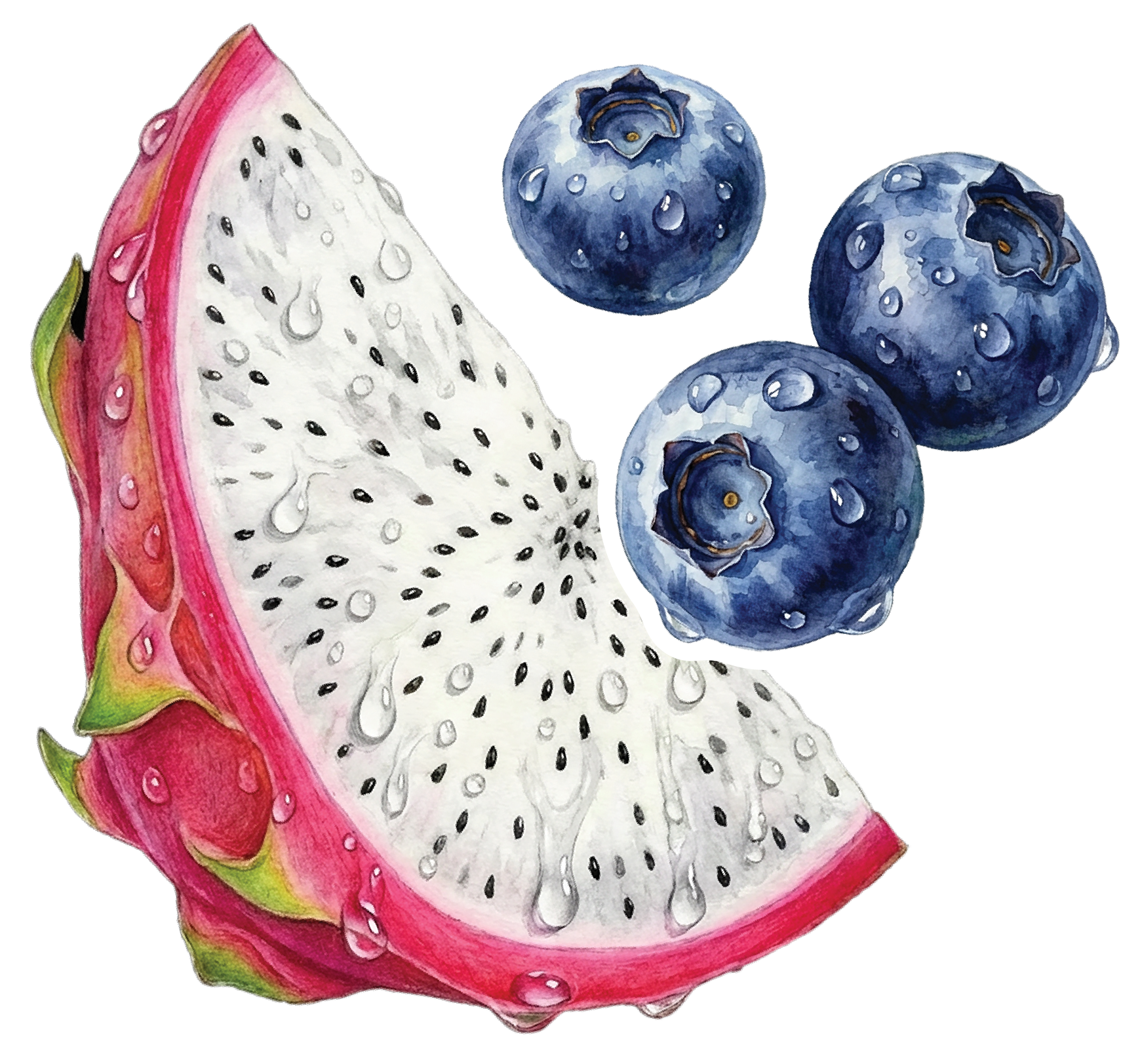 Dragon Fruit Berry Tropical Zing