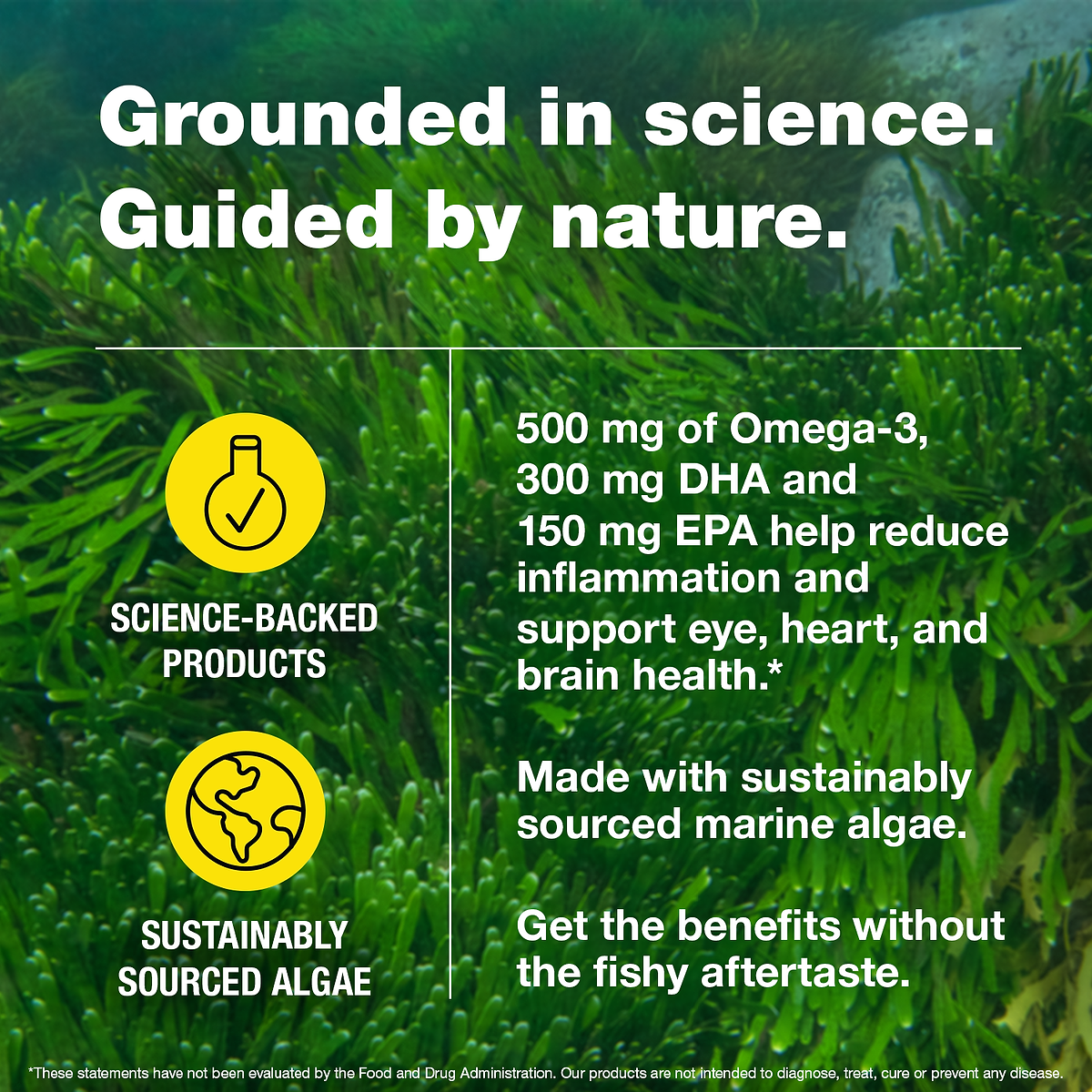 Marine Algae Omega-3
