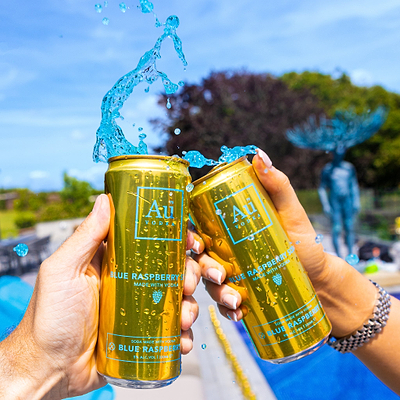 Au Vodka Full Pre Mixed Can Collection - 72 Pack