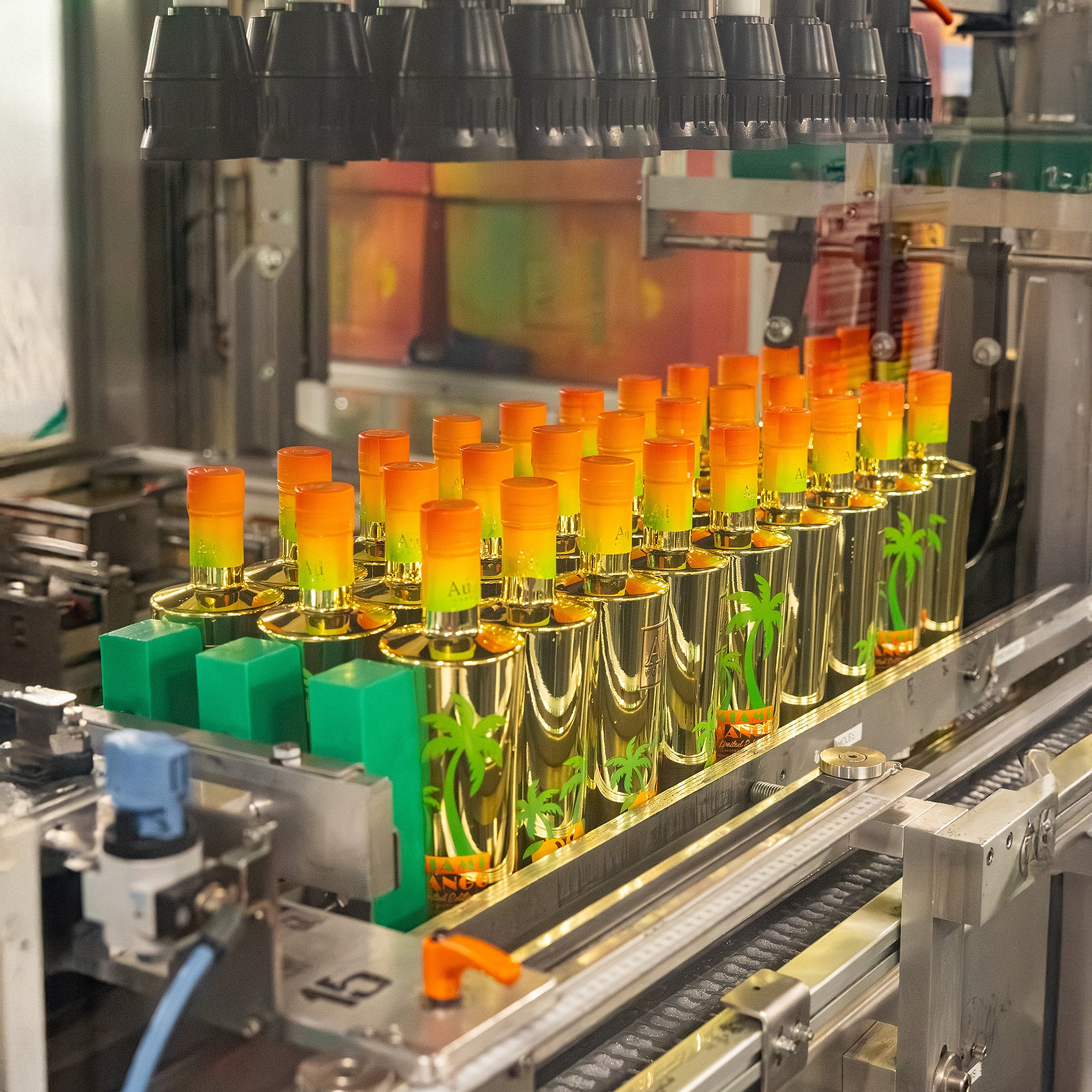 Bottles with palm tree design and orange-yellow caps on a production line