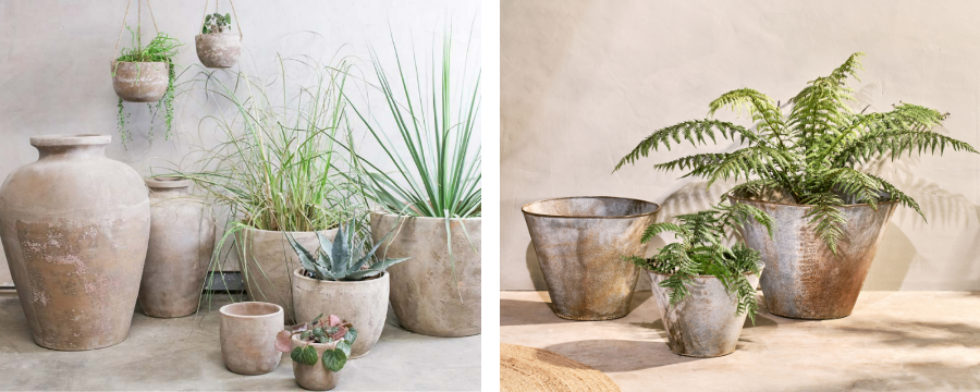 Pots & Planters