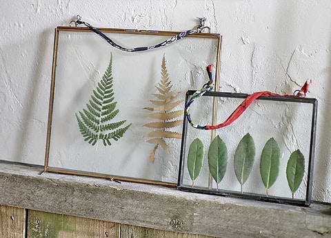 Kiko Glass Frames