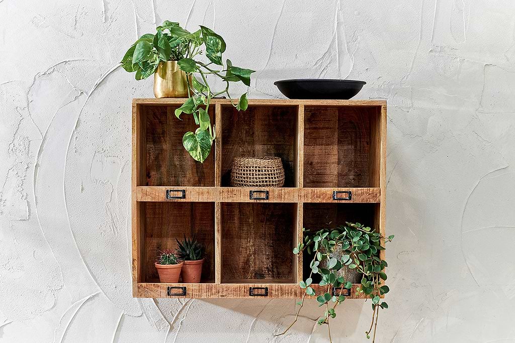 Mango Wood Wall Storage with plants